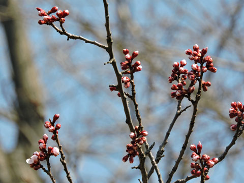 f0083977_18183772.jpg
