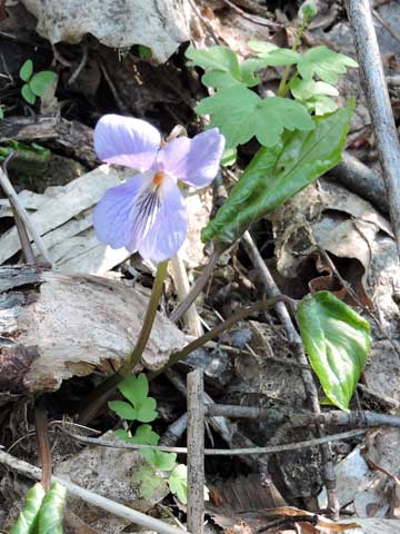 f0083977_18201555.jpg