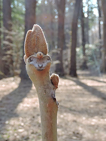 f0083977_18213694.jpg