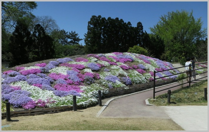 京都府立植物園_c0036080_16491084.jpg