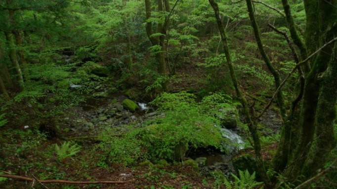 c0212083_19334616.jpg
