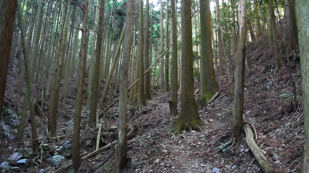 f0346184_19145.jpg