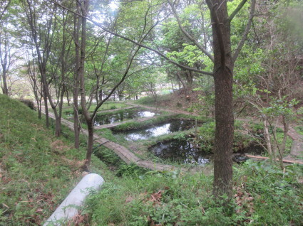 f0053885_19352074.jpg