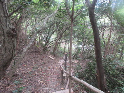 f0053885_19354987.jpg