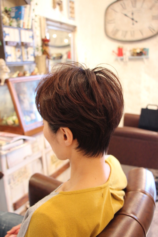 ショート遍歴・・・_b0210688_15382035.jpg