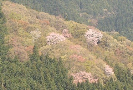 f0230689_23102718.jpg