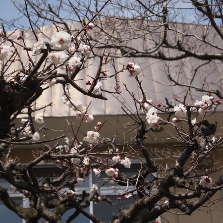 木曜日は定休日。_a0292194_19373879.jpg