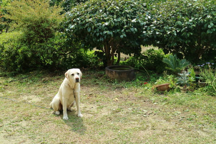 f0075595_00510297.jpg