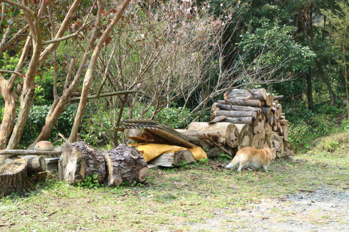 f0075595_00512584.jpg