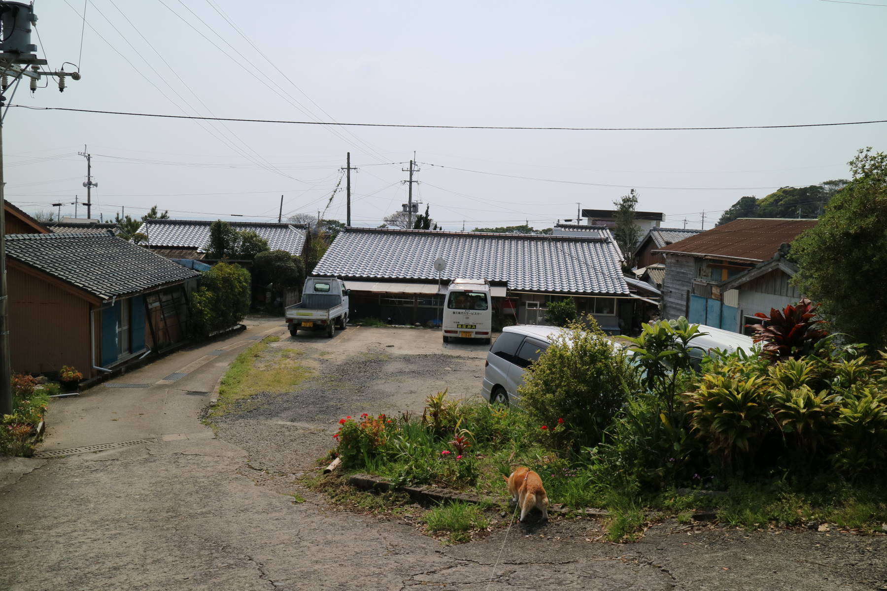 f0075595_01484385.jpg