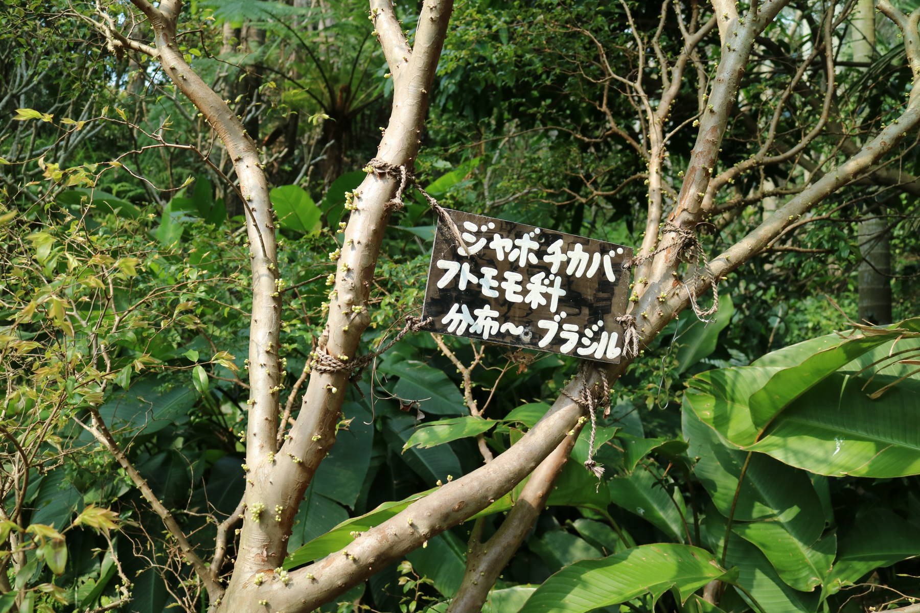 f0075595_01582573.jpg