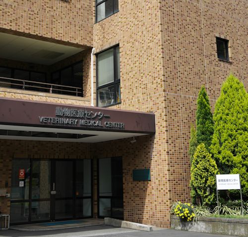 c0090198_202527.jpg