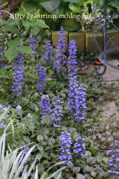 a0123003_2314432.jpg