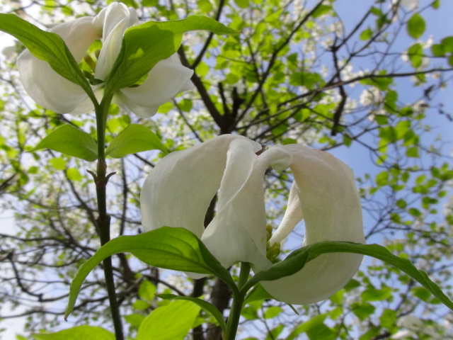 f0231709_20252670.jpg