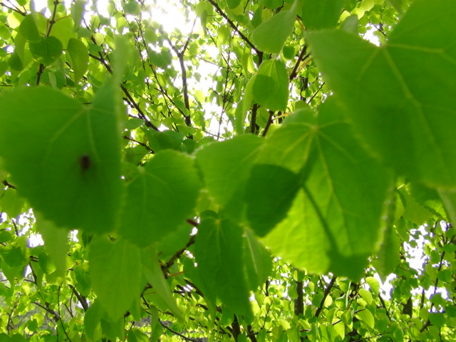 f0231709_20284492.jpg
