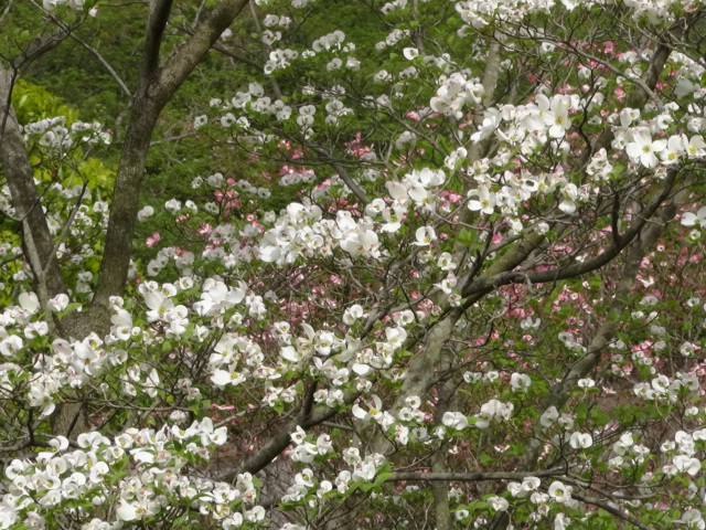 f0231709_20333580.jpg
