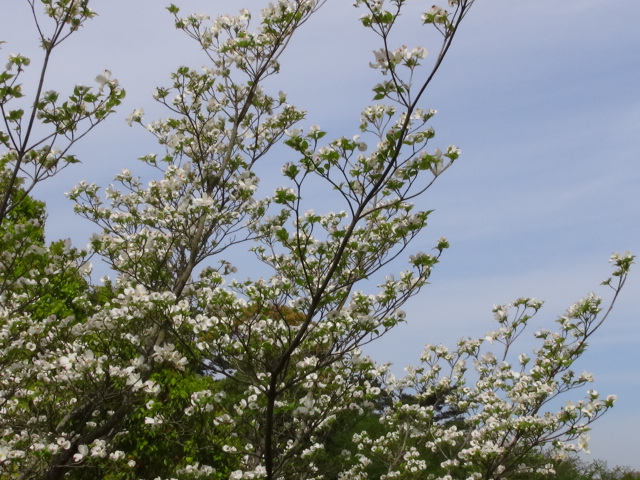 f0231709_2034929.jpg