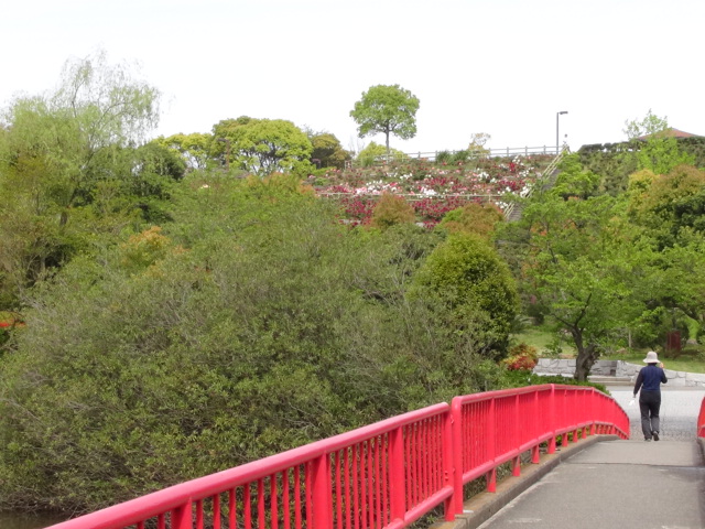 f0231709_20351725.jpg