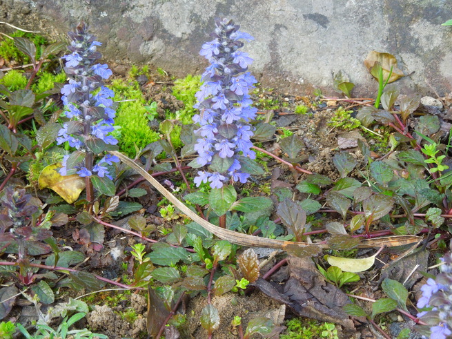 f0297809_134169.jpg