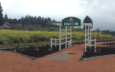 b0055215_106413.jpg