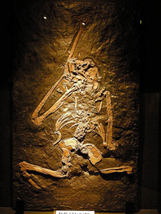 b0355317_11544954.jpg