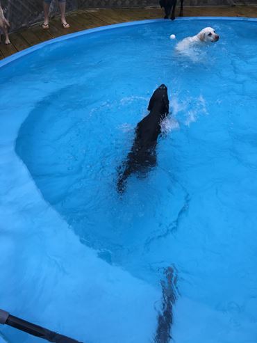 c0114121_065277.jpg