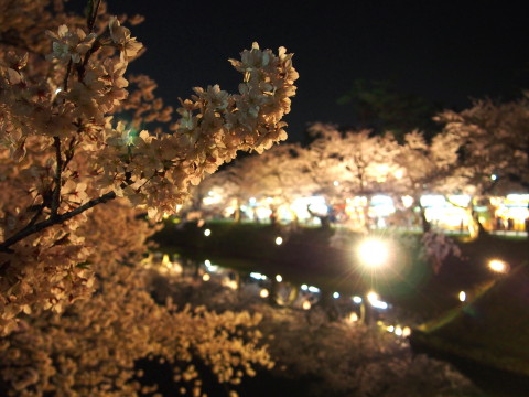 b0147224_22592461.jpg