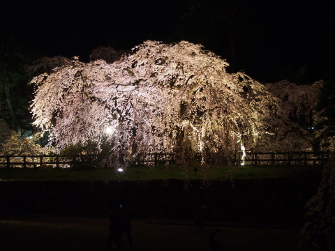 b0147224_2351746.jpg