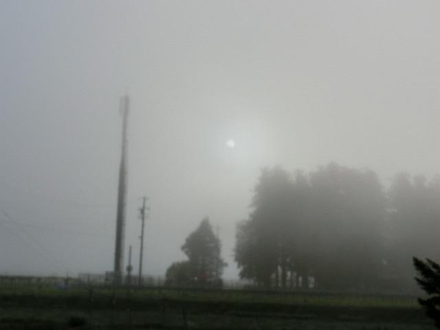 e0234924_14523951.jpg