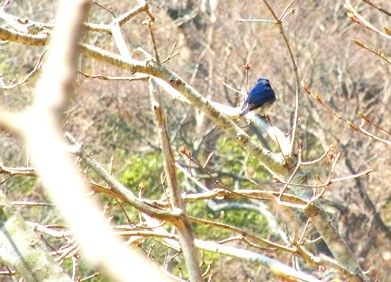 c0204725_1071228.jpg