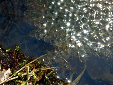 c0204725_1075067.jpg