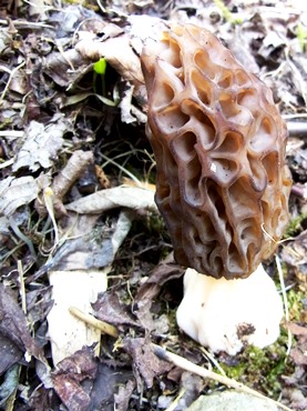 c0204725_928856.jpg