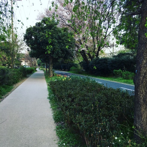 カフェポテリさん @東村山・八坂&とりもの博@渋谷西武A館7階_a0137727_20264086.jpeg