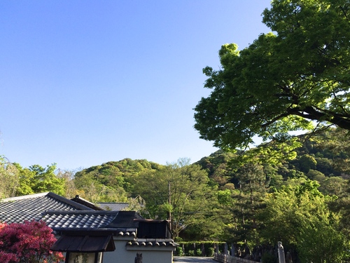 a0197730_22572388.jpg