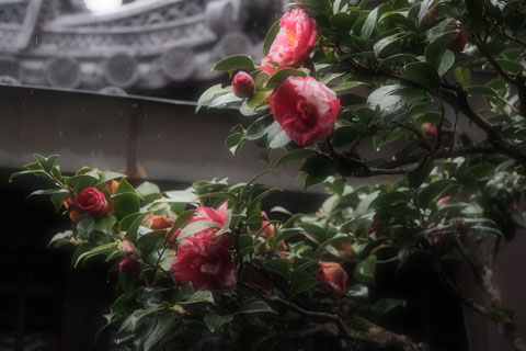 a0021735_05022.jpg