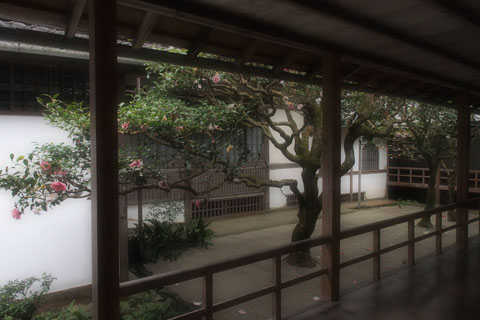 a0021735_05865.jpg