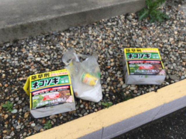 定期管理清掃作業_f0031037_1671938.jpg