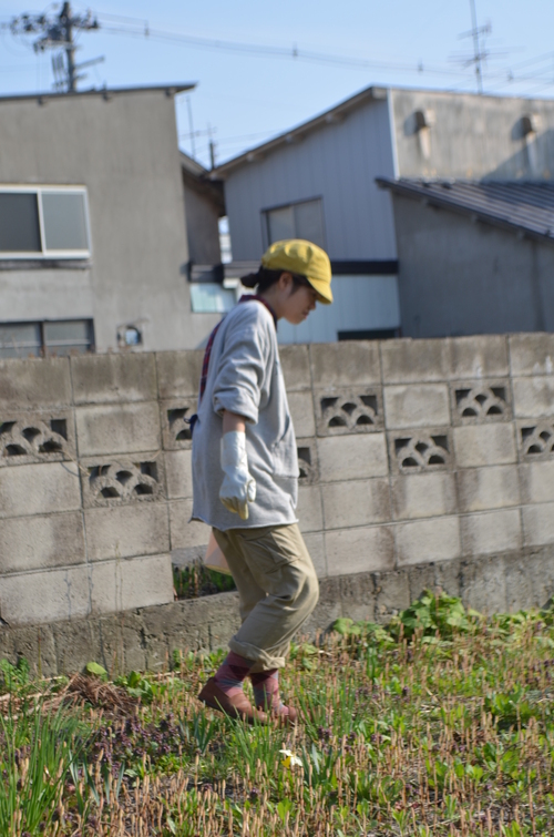春ですね~♪_b0207642_16461944.jpg