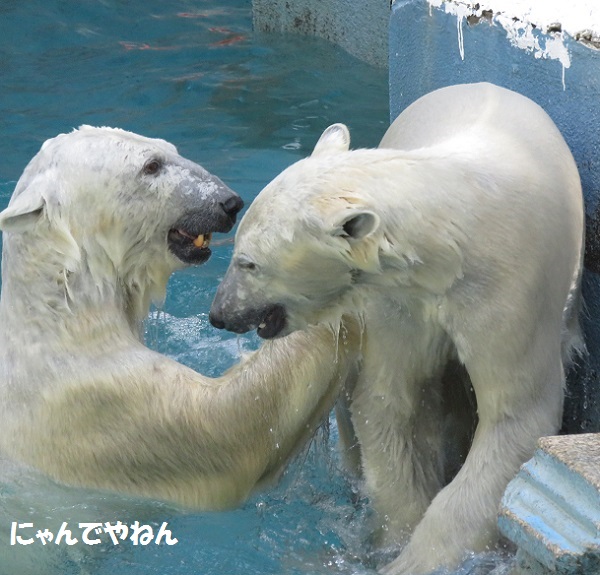 とうとうきたか・・ (追記あり)_f0002743_14543332.jpg