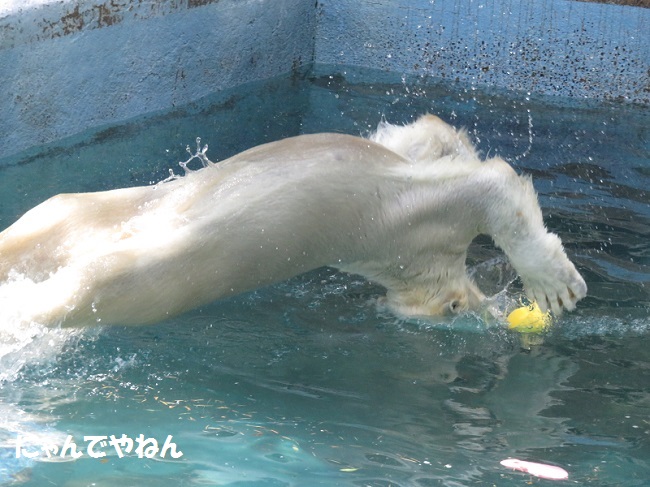 とうとうきたか・・ (追記あり)_f0002743_1458024.jpg