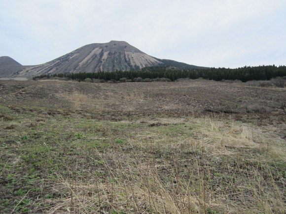 熊本大震災！緑よ、よみがえれ！_a0237545_10131622.jpg