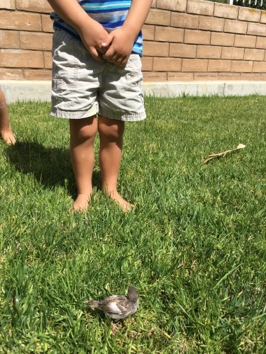 b0305749_08281034.jpeg
