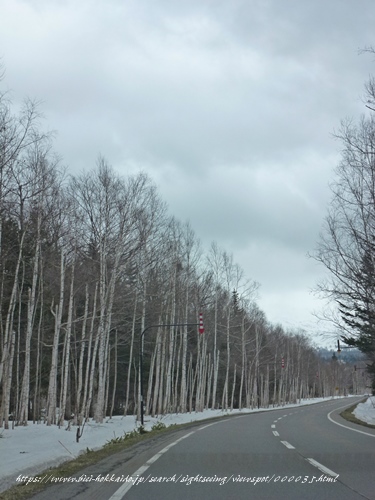 北海道旅行　~親子旅~_f0184055_10561127.jpg