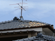 a0212557_7562345.gif