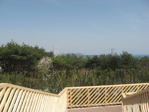 b0301459_03442.jpg
