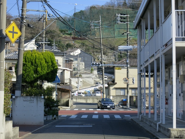 b0095061_8435574.jpg