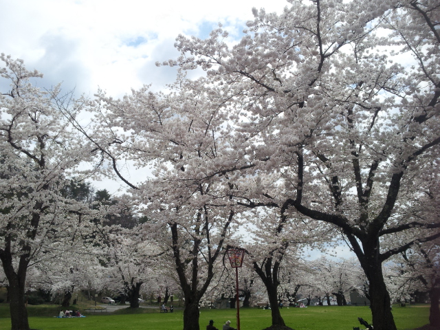 c0023165_19304659.jpg