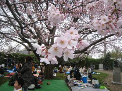 タケノコ公園の花見_d0169677_13523486.jpg