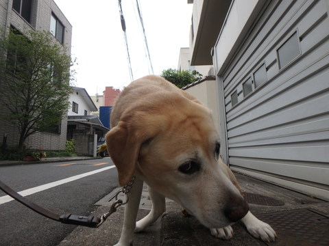 f0052277_0363627.jpg