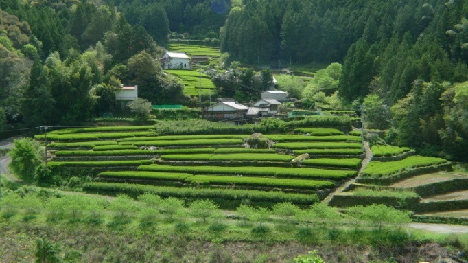 c0212083_19525522.jpg